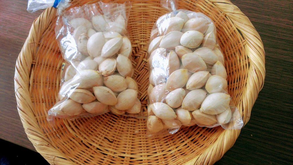 銀杏の冷凍保存方法。生のまま・薄皮はとらなくてOKで長期間保存可能 主婦のたまごの台所